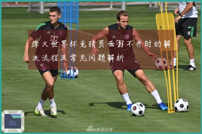烽火世界杯竞猜页面打不开时的解决流程及常见问题解析